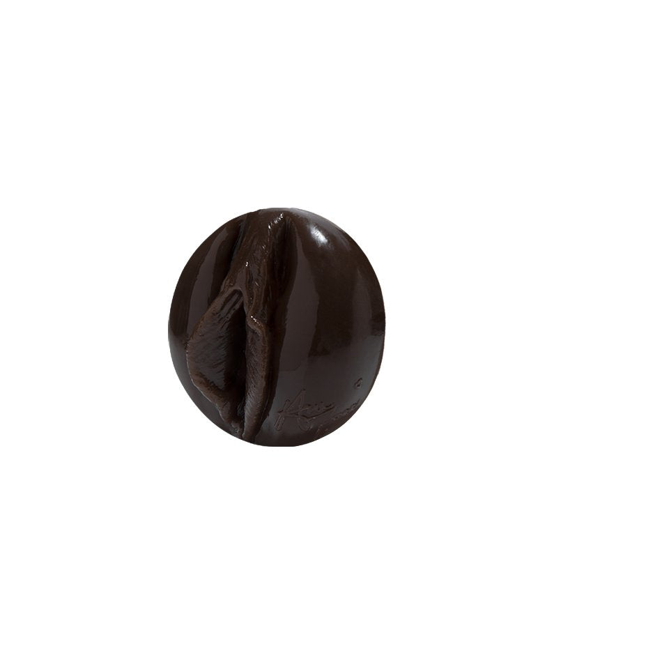 Anna Foxx Silk Vagina