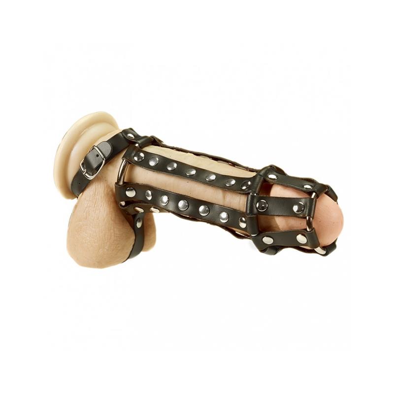 Arnés Completo Para Pene Y Testículos Talla (Interno):M/L