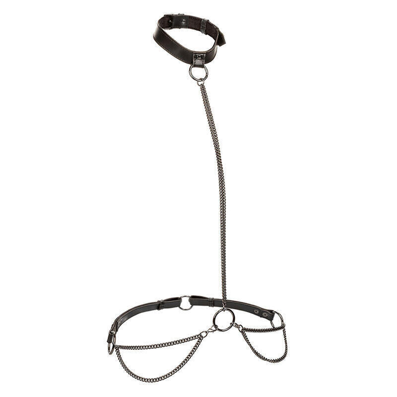 Calexotics - Euphoria Collar Halter Y Correa Con Cadena Talla Plus