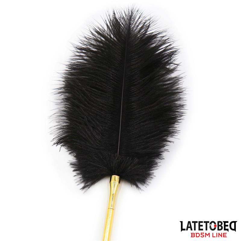 Estimulador De Plumas 41 Cm