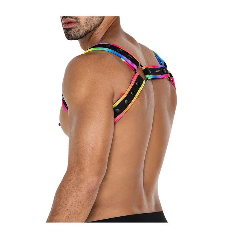 Arnés H4rness05 De Pecho Neon Multicolor Talla Única