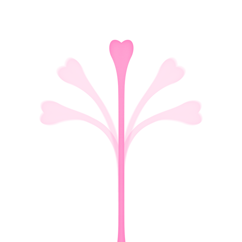 Ohmama - Set 5 Bolas Ejercicio Kegel