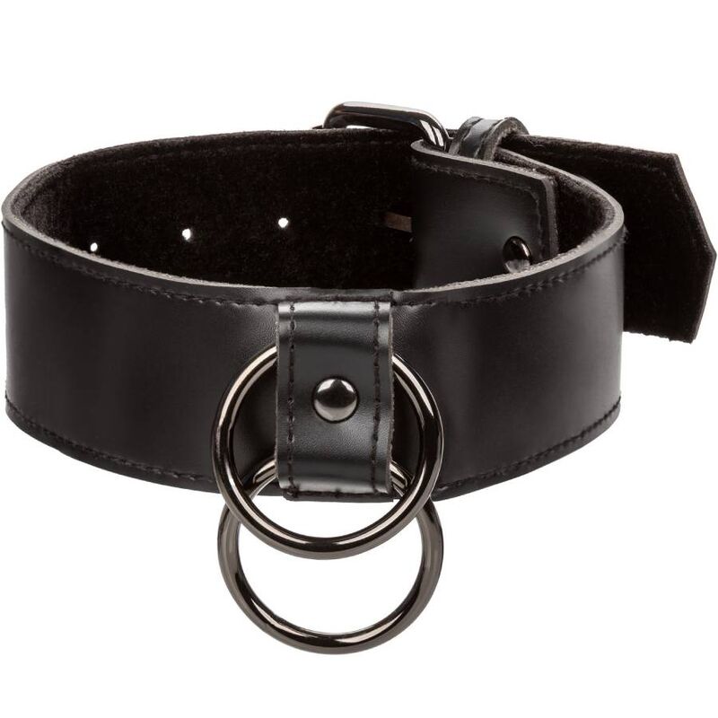 Calexotics - Euphoria Collar Con Correa De Cadena