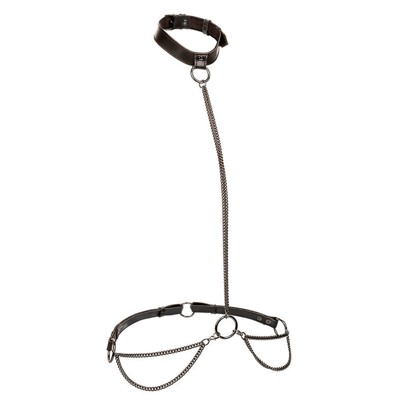 Calexotics - Euphoria Collar Halter Y Correa Con Cadena
