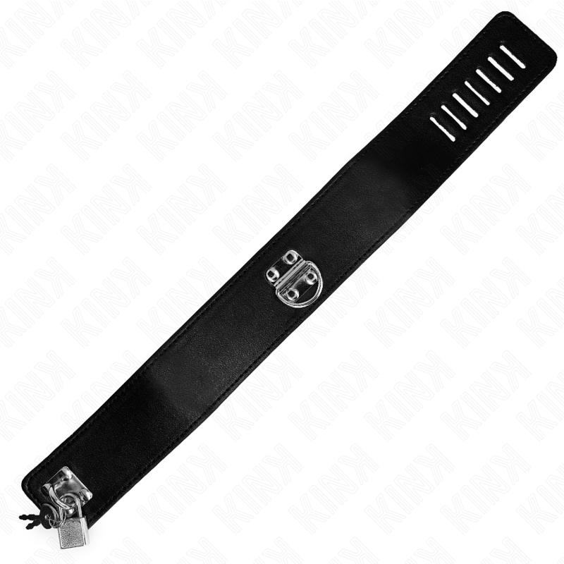 Kink - Collar Con Correa 116 Cm Modelo 2 Ajustable 36-43 Cm X 5 Cm