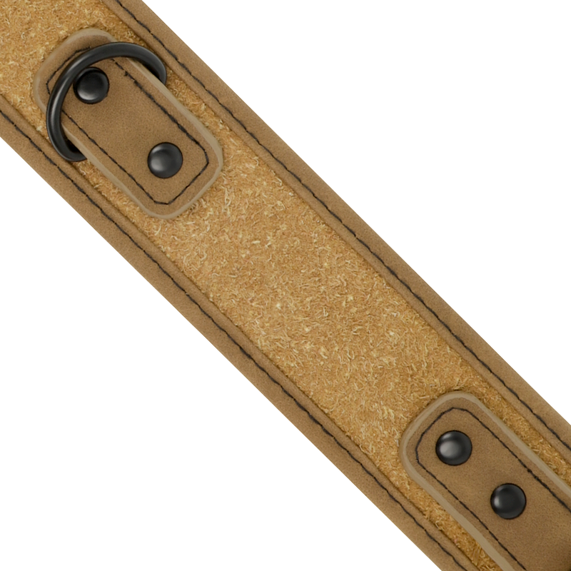 Fetish Submissive Origen - Collar Con Cadena Con Forro De Neopreno