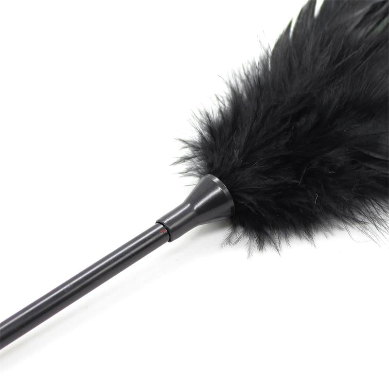 Plumas Y Pala 2 En 1 48 Cm Negro