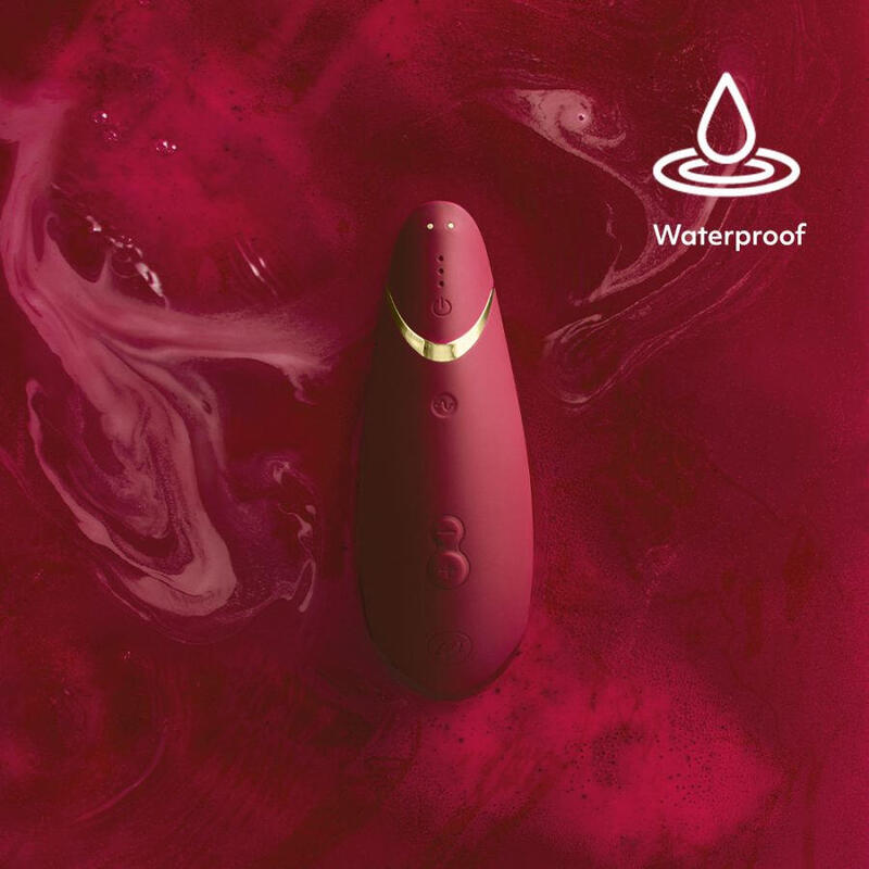 Succionador Womanizer Premium 2 Sucker Vibrator
