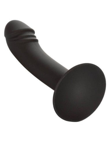 Calexotics - Curved Anal Stud