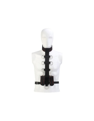 Blaze Deluxe Collar Body Restraint