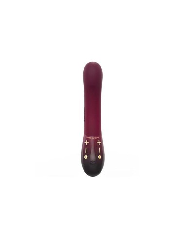 Vibrador De Bajos Y Altos 2 Motores Kurve