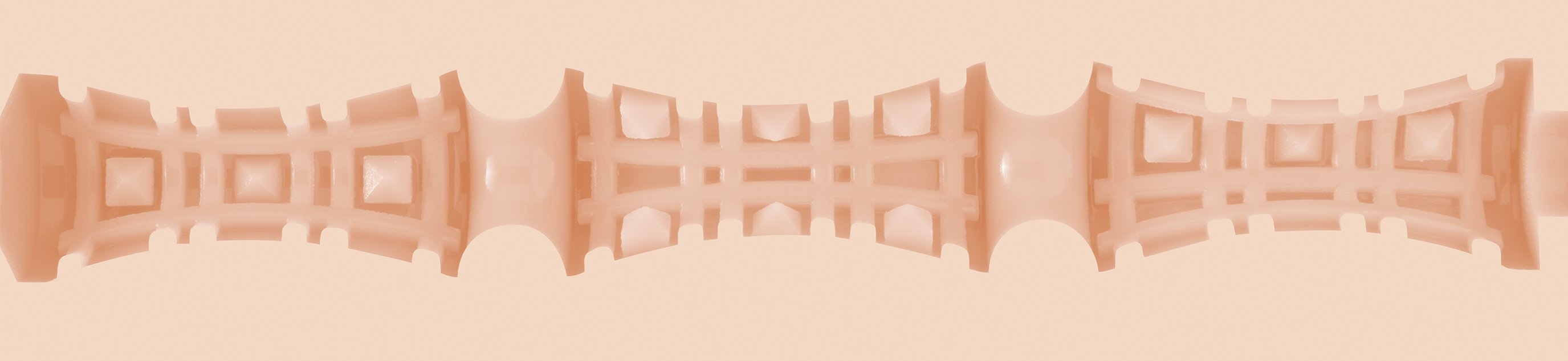 Fleshlight Girls Riley Reid Euphoria Ano