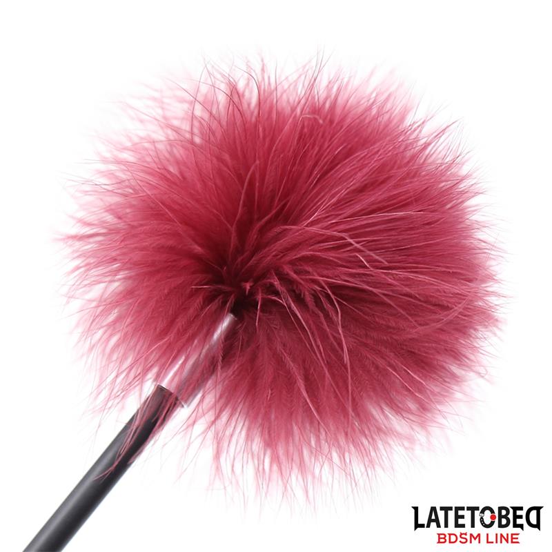 Estimulador De Plumas Con Pala