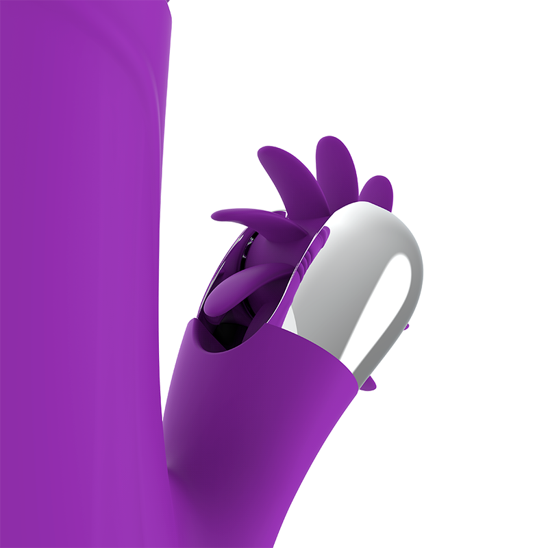 Fun Function - Bunny Funny Up & Down  2.0