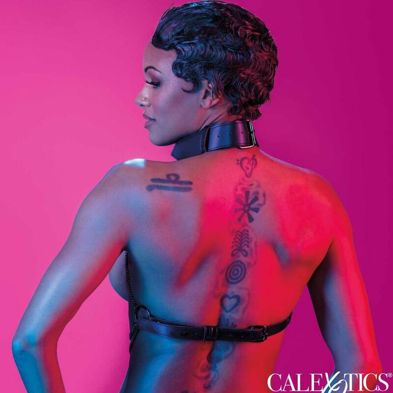 Calexotics - Euphoria Arnés De Cuello De Cadena