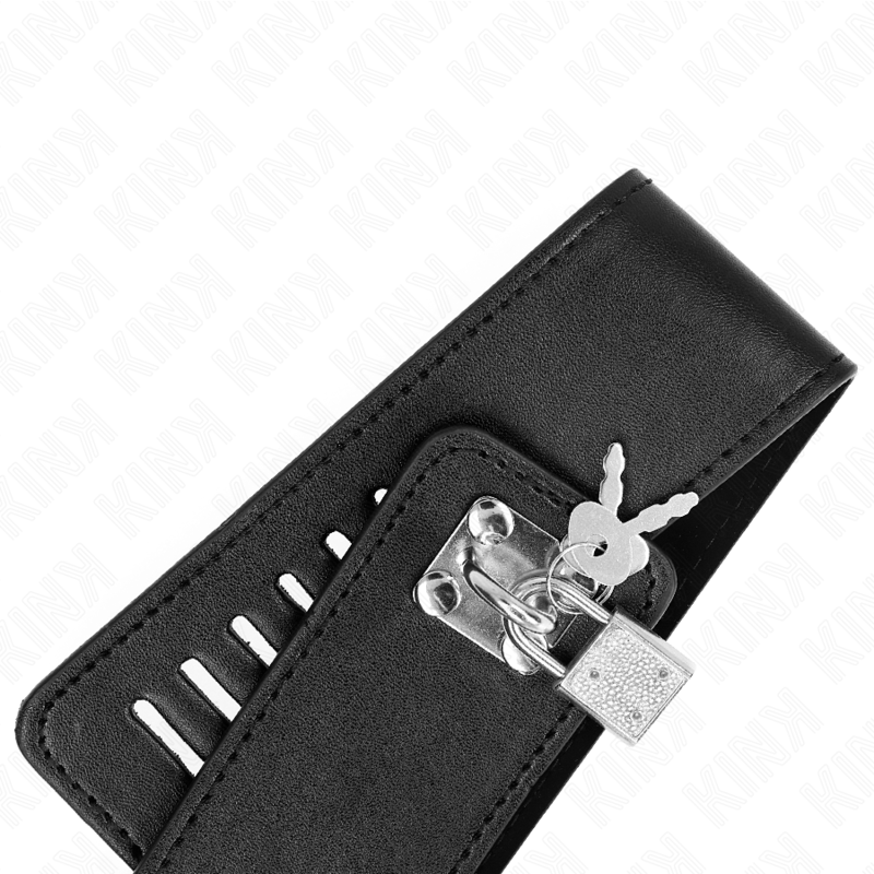 Kink - Collar Con Correa 116 Cm Modelo 2 Ajustable 36-43 Cm X 5 Cm