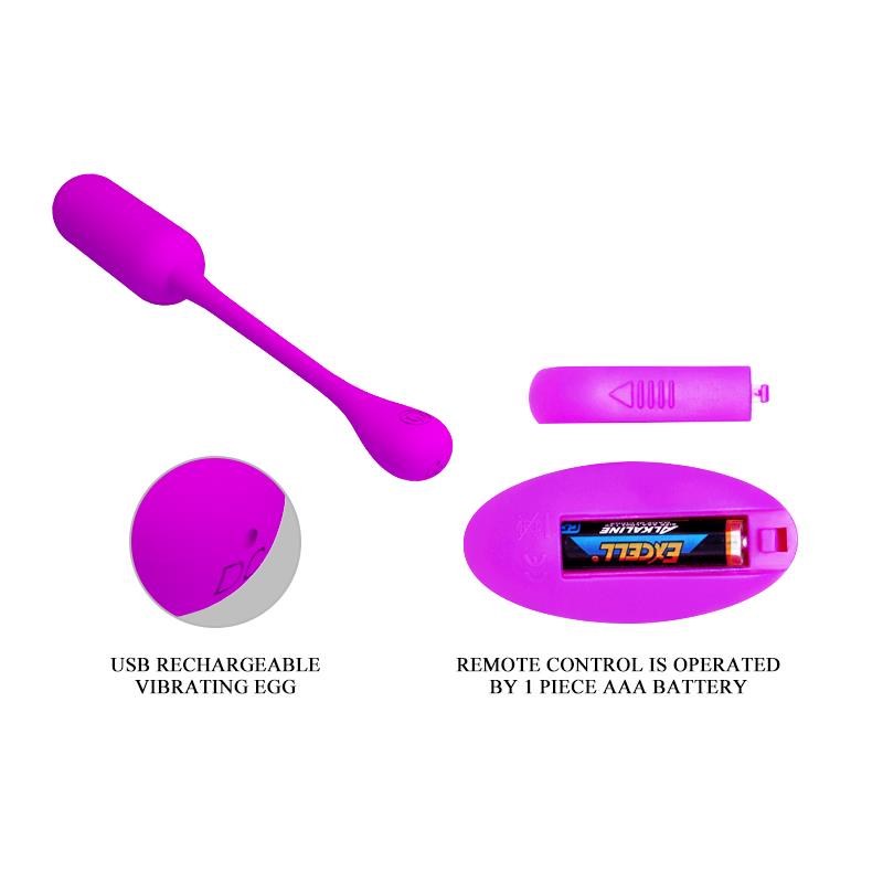 Huevo Vibrador Lechies  Con Control Remoto Usb