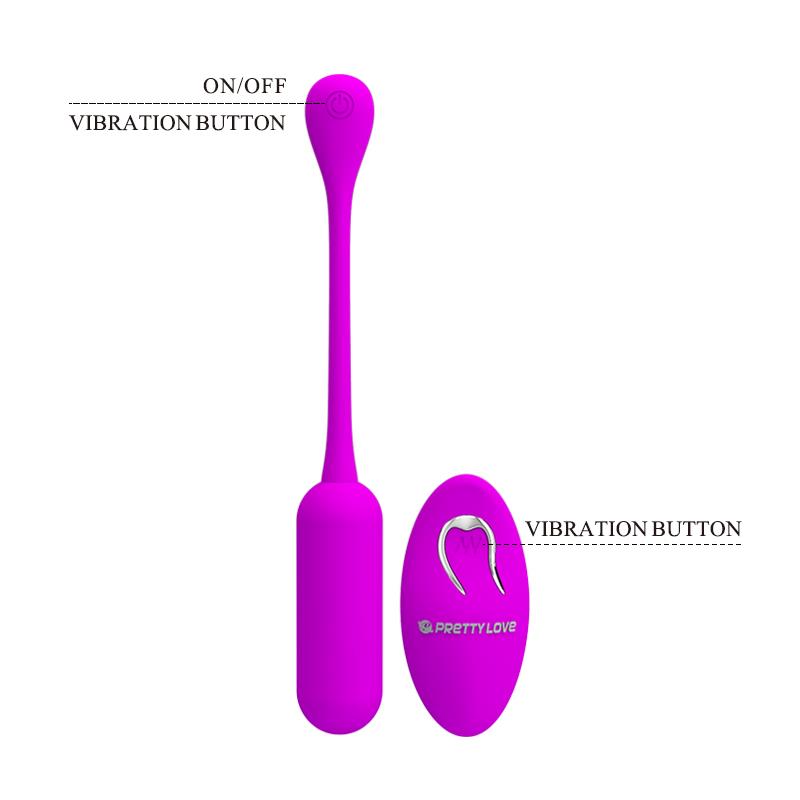 Huevo Vibrador Lechies  Con Control Remoto Usb