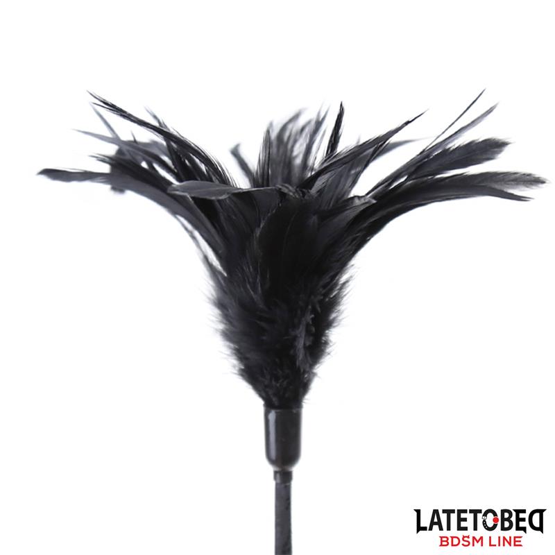 Multi Feathers Tickler And Lace Ribbon Paddle Comb